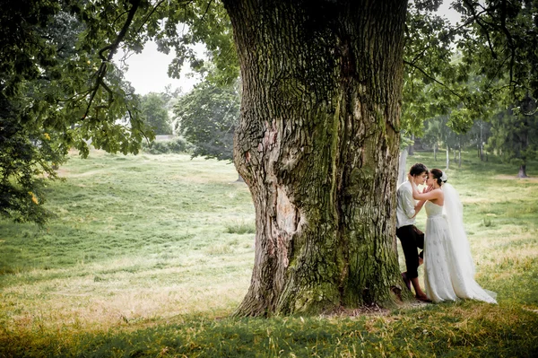 A noiva e o noivo perto da velha madeira no verão, belo fundo — Fotografia de Stock