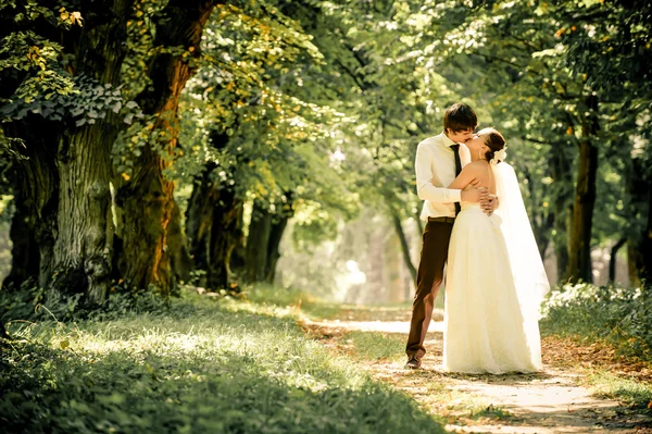 Happy bride and groom on a walk in beautiful forest — Stock Photo, Image