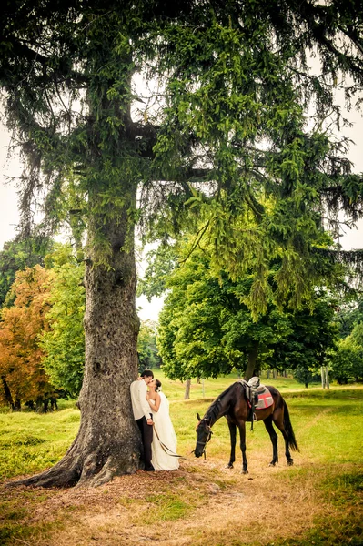 Счастливая невеста и жених на лошади в лесу, красивая природа — стоковое фото