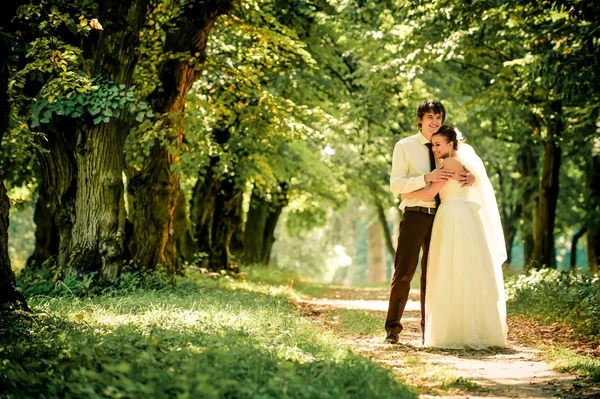 Novia feliz y novio en un paseo por el hermoso bosque —  Fotos de Stock