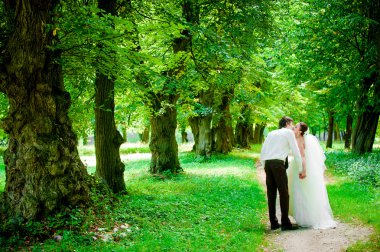 mutlu gelin ve damat güzel ormandaki bir yolda