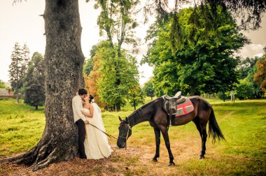 mutlu gelin ve damat ormandaki güzel doğa sırtında
