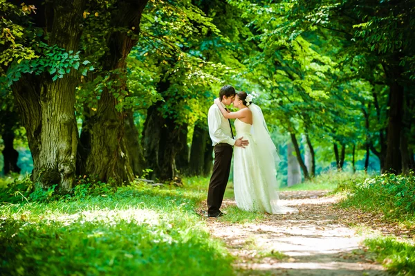 Lyckliga bruden och brudgummen på en promenad i vacker skog — Stockfoto