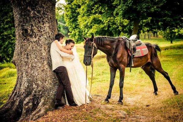 Noiva feliz e noivo a cavalo na floresta, bela natureza — Fotografia de Stock