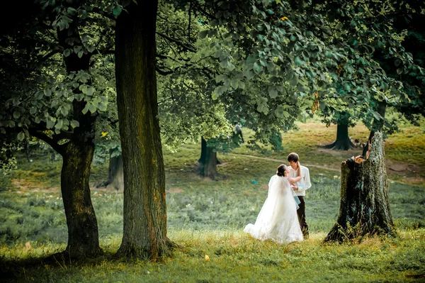 Mariés heureux sur une promenade dans la belle forêt — Photo