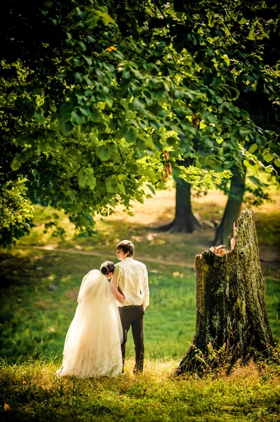 Счастливая невеста и жених на прогулке в красивом лесу — стоковое фото
