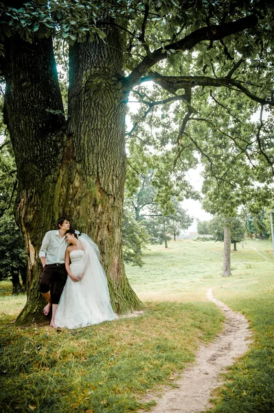 La mariée et le marié près de vieux bois en été, beau fond — Photo