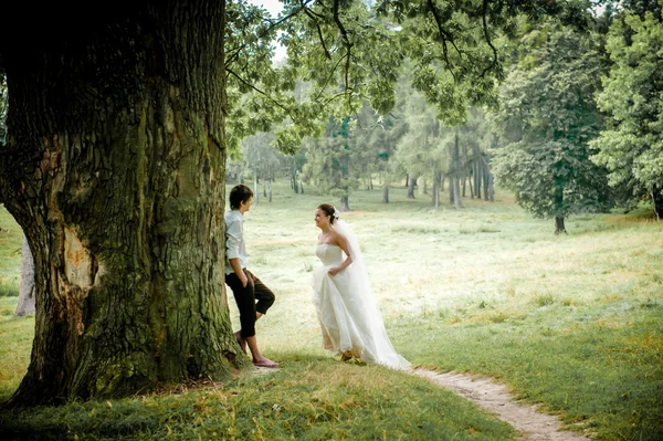 La mariée et le marié près de vieux bois en été, beau fond — Photo