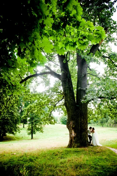 La mariée et le marié près de vieux bois en été, beau fond — Photo