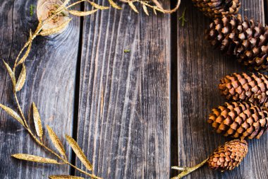 tomurcuklu bir ağaç ortaya konulan ahşap arka plan üzerinde daire şeklinde