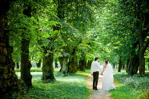 Mariés heureux sur une promenade dans la belle forêt — Photo