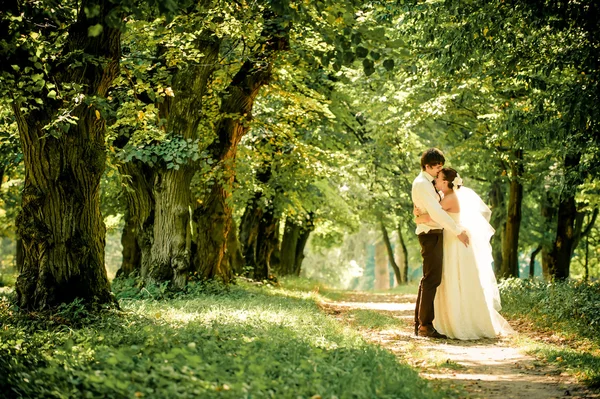 Lyckliga bruden och brudgummen på en promenad i vacker skog — Stockfoto