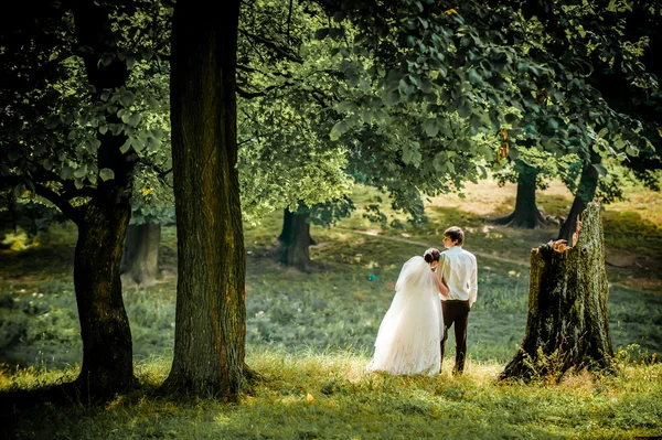 Noiva feliz e noivo em um passeio na bela floresta — Fotografia de Stock