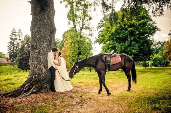 Noiva feliz e noivo a cavalo na floresta, bela natureza — Fotografia de Stock