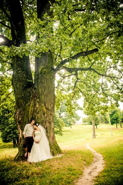 Boldog menyasszony és a vőlegény, a szép erdei séta — Stock Fotó