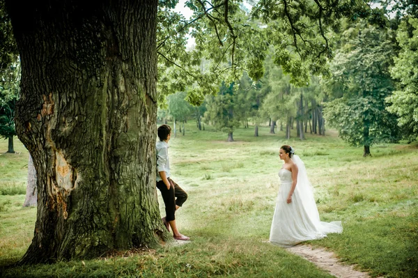 A menyasszony és a vőlegény régi erdőnél, nyáron, gyönyörű háttér — Stock Fotó