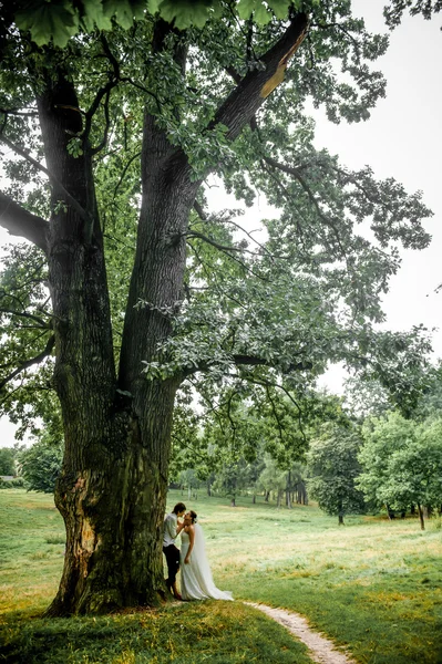 La mariée et le marié près de vieux bois en été, beau fond — Photo