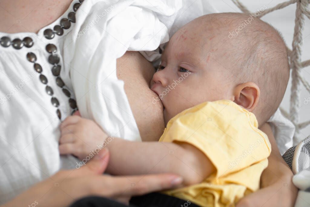 Mom breastfeeds her newborn baby in a white hammock chair on a light background. Breastfeeding concept, close up.