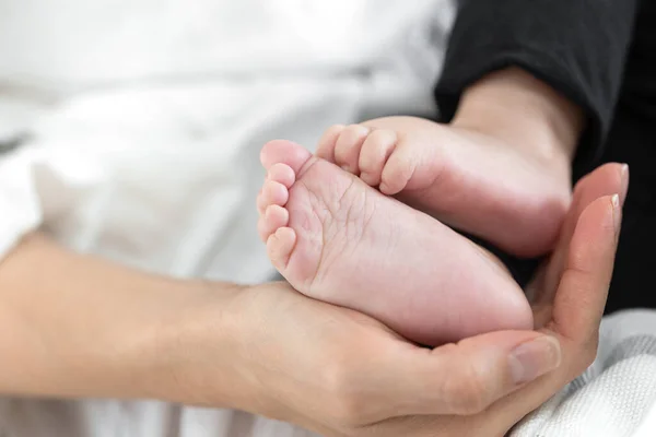 Ноги Новонародженої Дитини Руці Мами Щаслива Сімейна Концепція Розмитий Фон — стокове фото