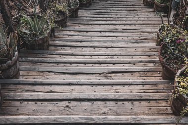 Ahşap basamaklarda bitkiler olan eski ahşap kapları kapatın. Atmosferik bağbozumu bahçe dekoru.