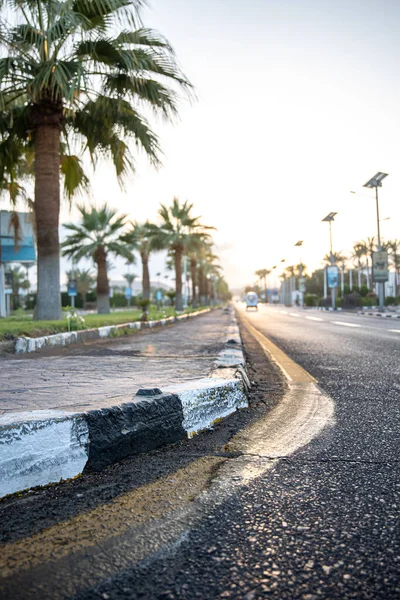 City asphalt road with palm trees along the road at sunset. Tropical cityscape.