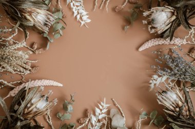 Kuru kır çiçekleri, dikenler ve protea çiçekleri düzleştirilmiş..