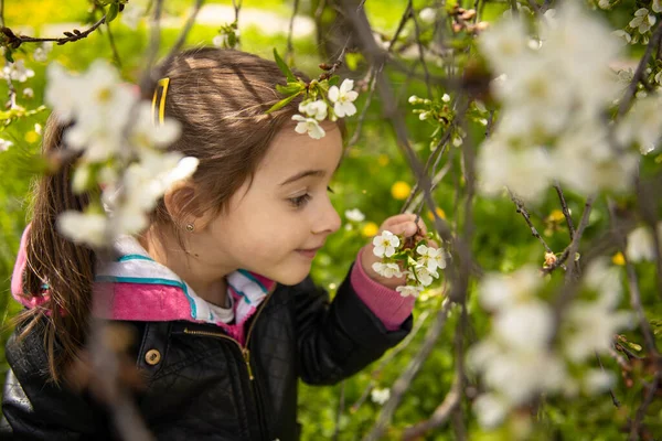 Милая Маленькая Девочка Нюхает Красивое Цветущее Весеннее Дерево — стоковое фото