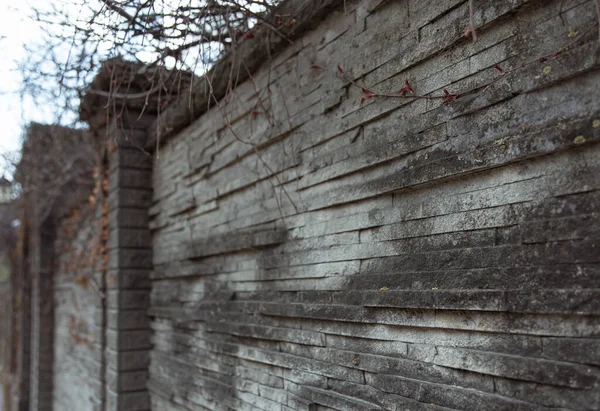 Close Textured Old Wall Gothic Style — Stok Foto