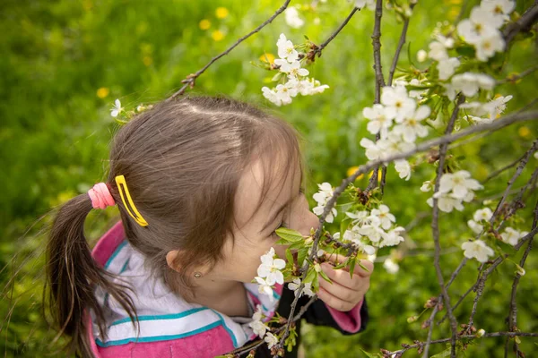 一个可爱的小女孩嗅到一棵美丽的开花的春树 — 图库照片
