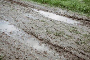 Ormanda yağmur üstüne bataklık kapanır..
