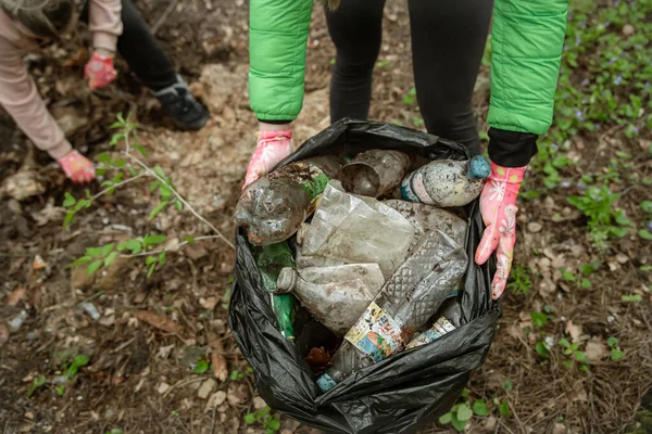 Gros Plan Des Bénévoles Qui Ramassent Des Bouteilles Plastique Dans — Photo