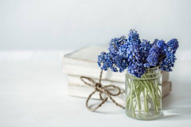 Bahar kompozisyonu, bulanık bir arkaplanda cam bir vazoda muscari çiçekleri..