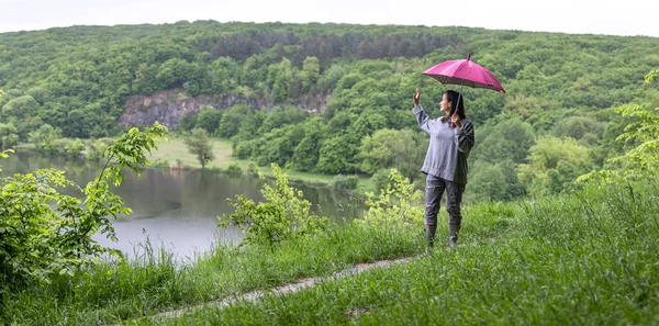 Een Meisje Een Wandeling Het Bos Onder Een Paraplu Tussen — Stockfoto