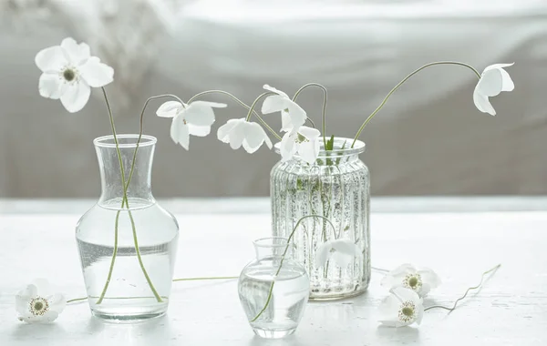 Composición Con Delicadas Flores Primavera Jarrones Vidrio Sobre Fondo Borroso — Foto de Stock