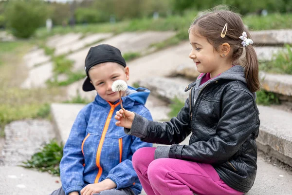 Los Niños Caminata Comunican Miran Flor — Foto de Stock