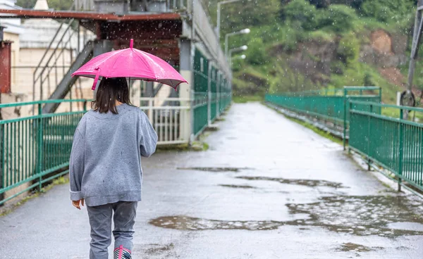 Fată Merge Sub Umbrelă Vreme Ploioasă Pod Din Pădure — Fotografie, imagine de stoc