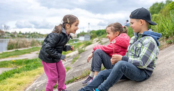 Дети Обсуждают Сидя Природе Одуванчиками Руках — стоковое фото