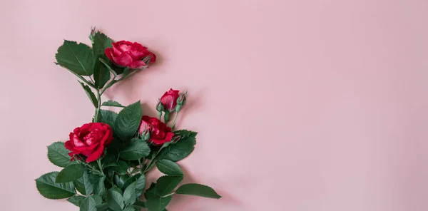 Florales Arrangement Mit Einem Strauß Frischer Roter Rosen — Stockfoto