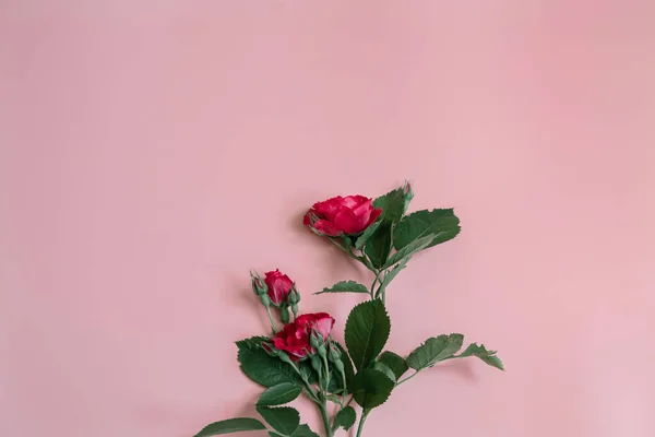 Florales Arrangement Mit Einem Strauß Frischer Roter Rosen — Stockfoto