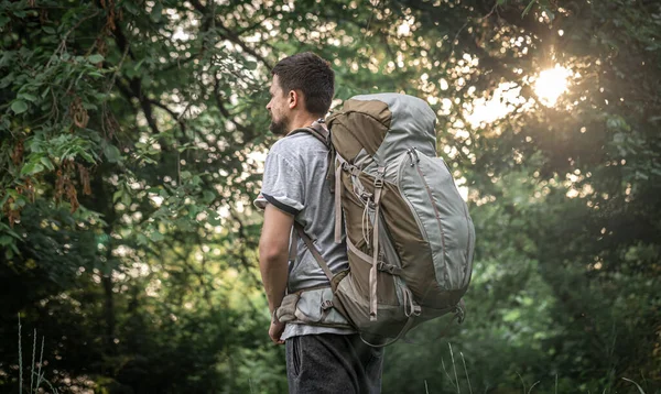 Hiker Hike Large Backpack Blurred Background Forest — Stock Photo, Image