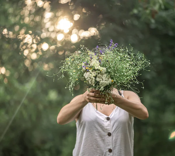 Ein Strauß Wilder Blumen Den Händen Eines Mädchens Auf Verschwommenem — Stockfoto