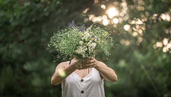 Ein Strauß Wilder Blumen Den Händen Eines Mädchens Auf Verschwommenem — Stockfoto