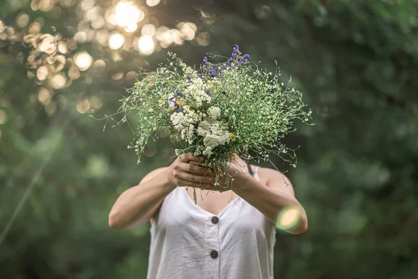 Ein Strauß Wilder Blumen Den Händen Eines Mädchens Auf Verschwommenem — Stockfoto