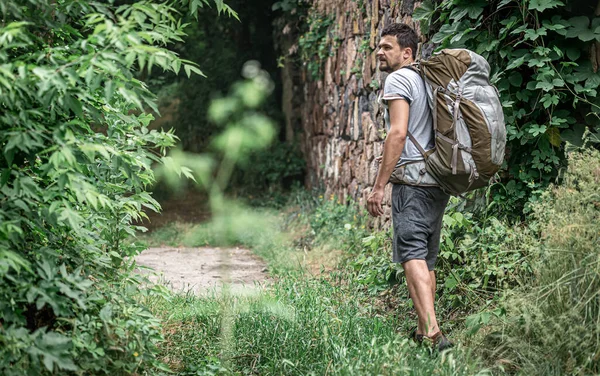 Man Hike Large Backpack Travels Forest — Stock Photo, Image