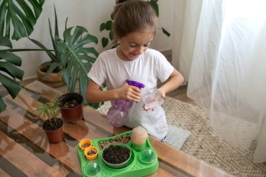 Evde çiçekleri olan küçük, komik bir bahçıvan kız. Kapalı alandaki bitkileri suluyor ve onunla ilgileniyor. Çiçek naklediyor..