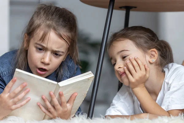 Zwei Kleine Schwestern Haben Spaß Beim Gemeinsamen Lesen Eines Buches — Stockfoto