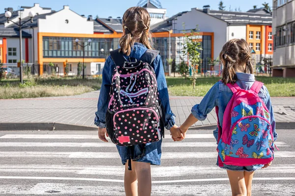 Grundschüler Gehen Händchenhaltend Zur Schule Erster Schultag Zurück Zur Schule — Stockfoto