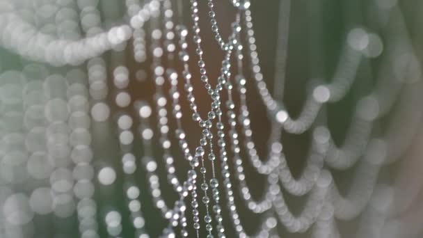 Natuurlijke Abstracte Achtergrond Met Sprankelende Waterdruppels Een Spinnenweb Macro Shot — Stockvideo