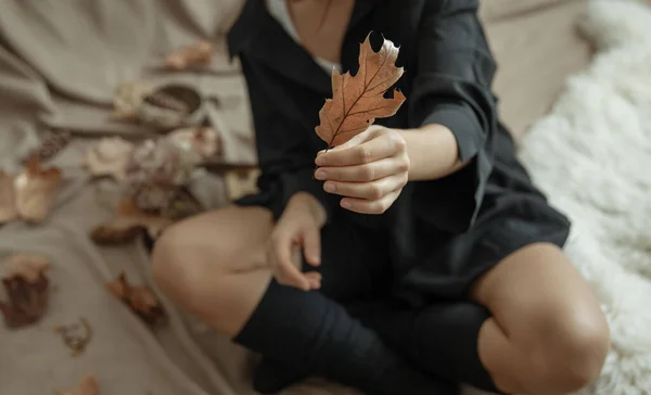 Молодая Женщина Теплых Чулках Дома Держит Осенний Лист Руках — стоковое фото