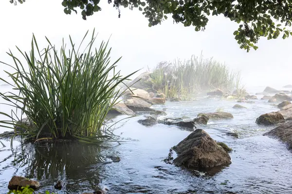 Río Con Rápidos Niebla Bosque Una Mañana Temprana Otoño — Foto de Stock